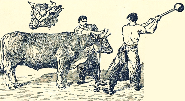 Маска Брюно Убой скота с маской Брюно